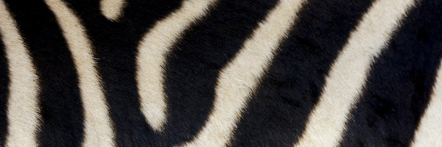 mgmalheiros's profile banner image