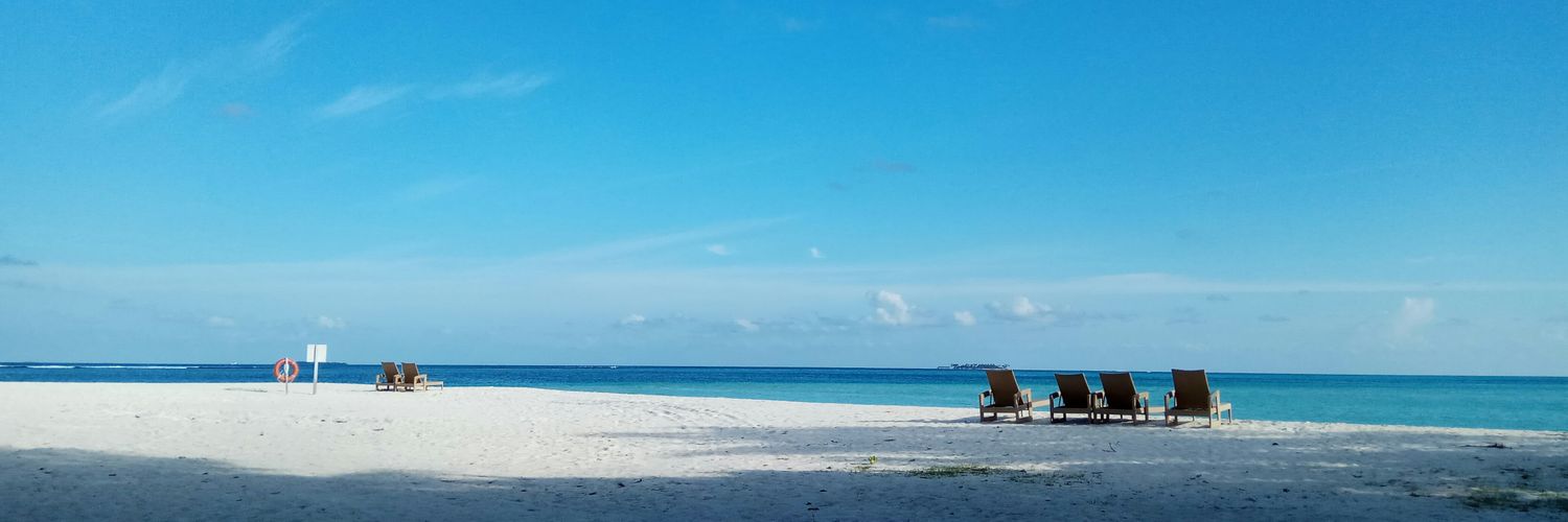 Punkbutt__🌹 banner