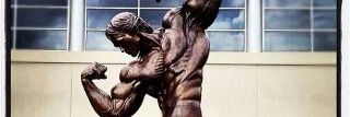 andersonjacobi1's profile banner image