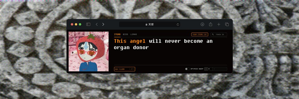 0xMeavy's profile banner image