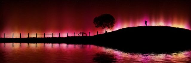 David Roger Webber banner