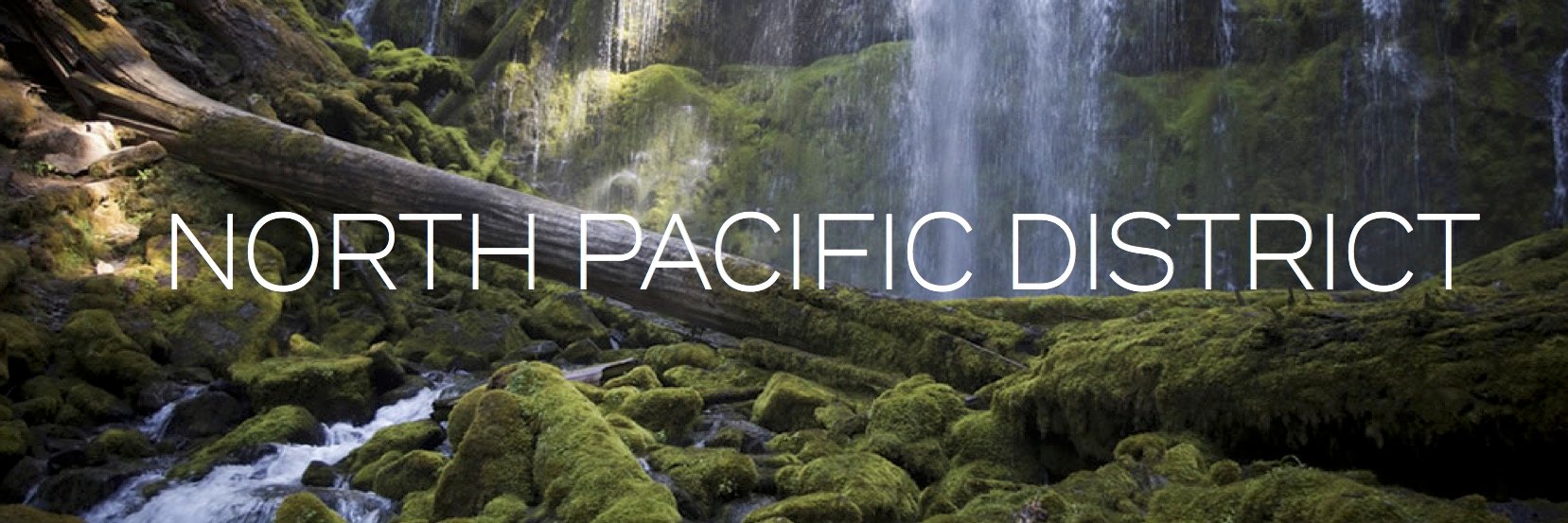 NPDFoursquare's profile banner image
