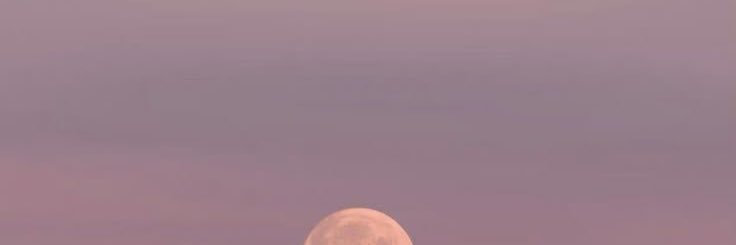 mocca291's profile banner image
