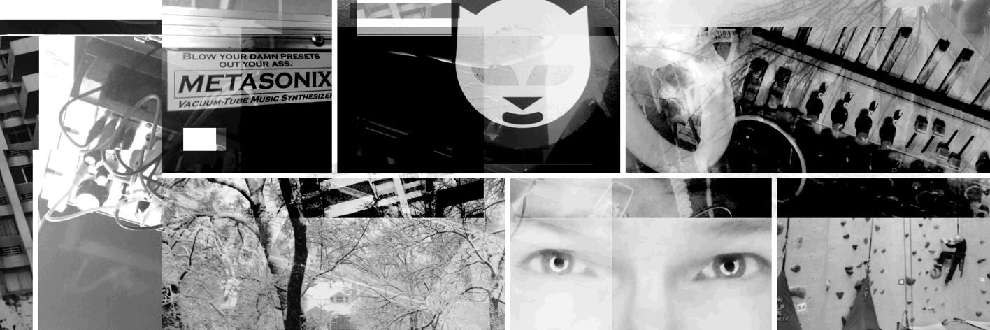 trashedpanda's profile banner image
