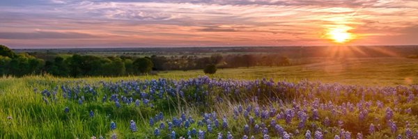 megamathteacher Profile Banner