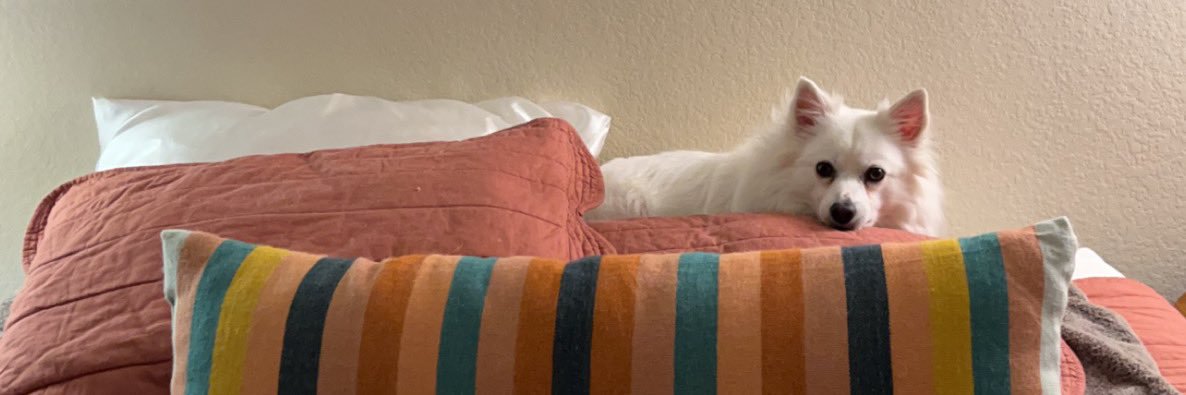 addierenee22's profile banner image