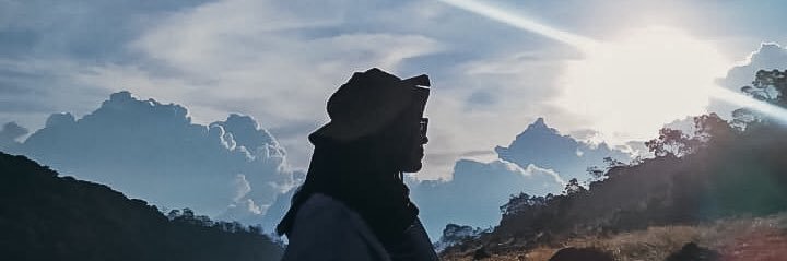 otherpiee's profile banner image