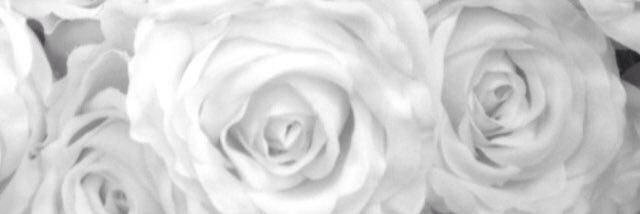 won_iam's profile banner image