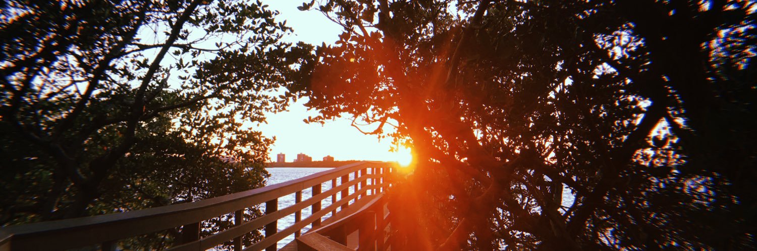 ConlonMaggie's profile banner image