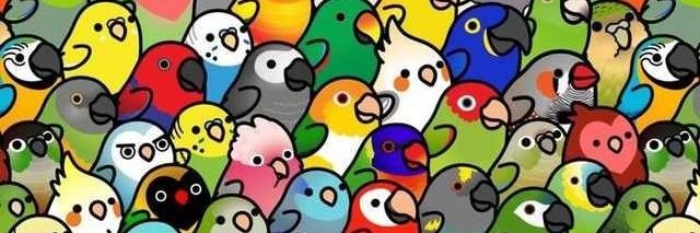 akiraemon1's profile banner image