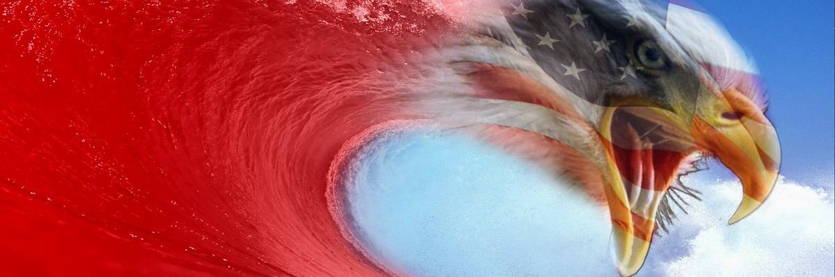 🇺🇸Amy🐣🇺🇸 banner