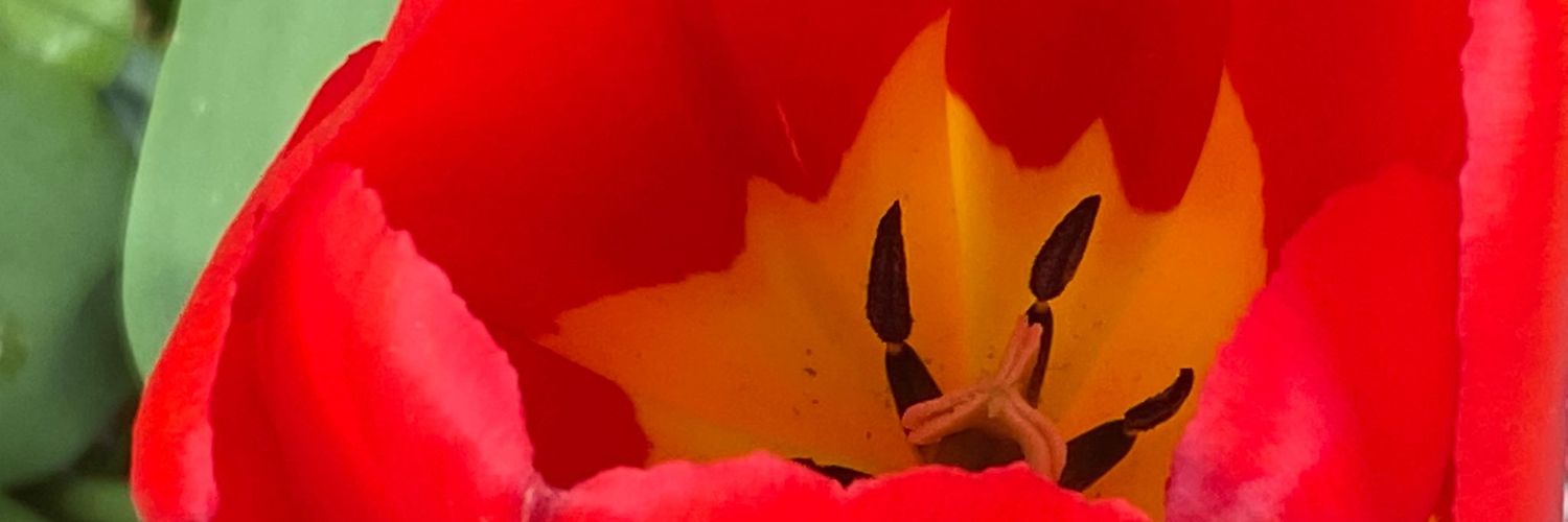 jamesgiggs's profile banner image