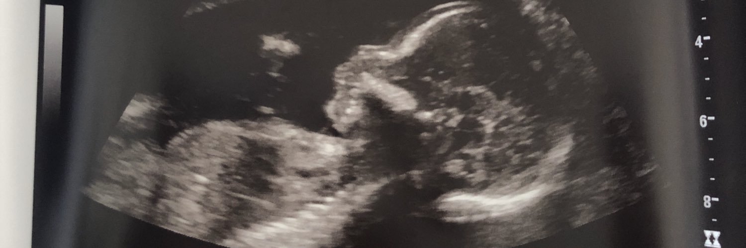 jaylene1389's profile banner image