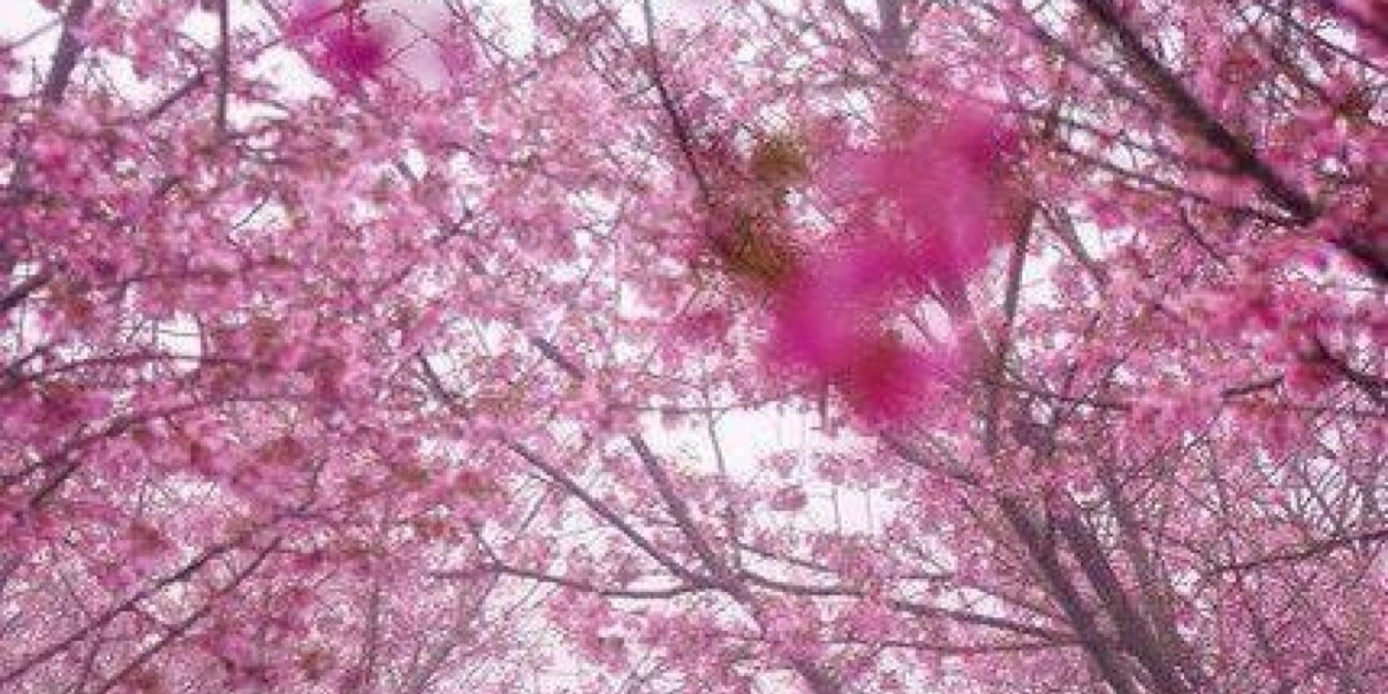 SethPrakriti's profile banner image