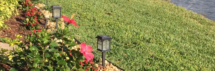 LandscapeRescue's profile banner image