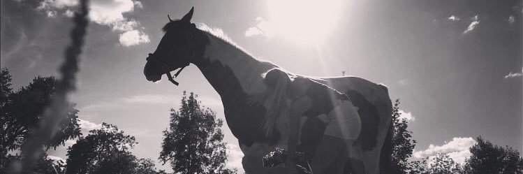 cass_stf's profile banner image