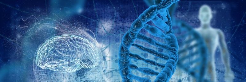 Engineering + Research + Medicine🔍🔬🌱 banner