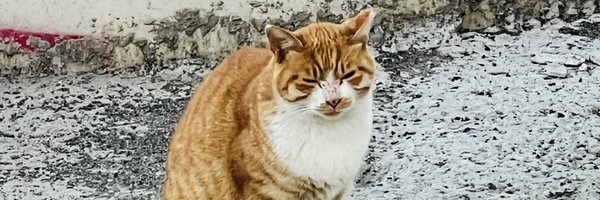 deuxcrab Profile Banner