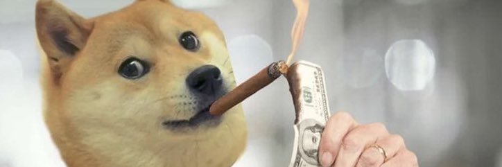 Dogelogy banner