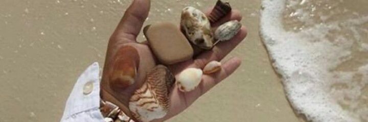 _krnangeles's profile banner image
