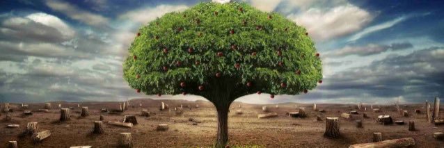 savetreespls's profile banner image
