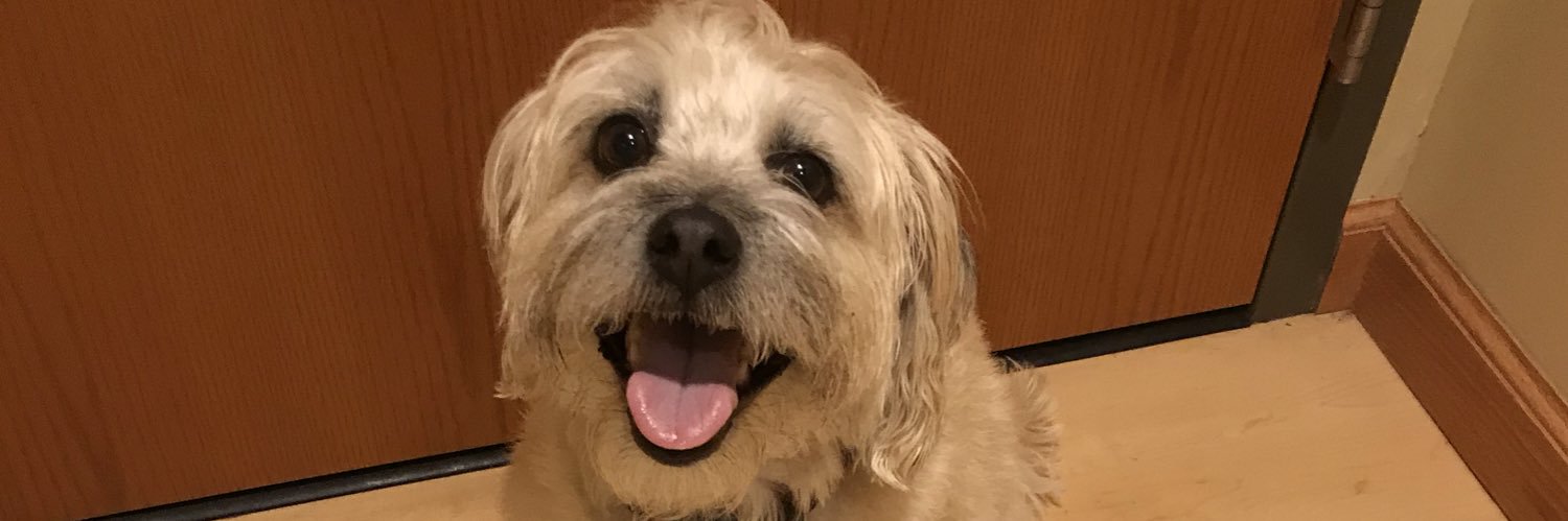 AllySchipma's profile banner image