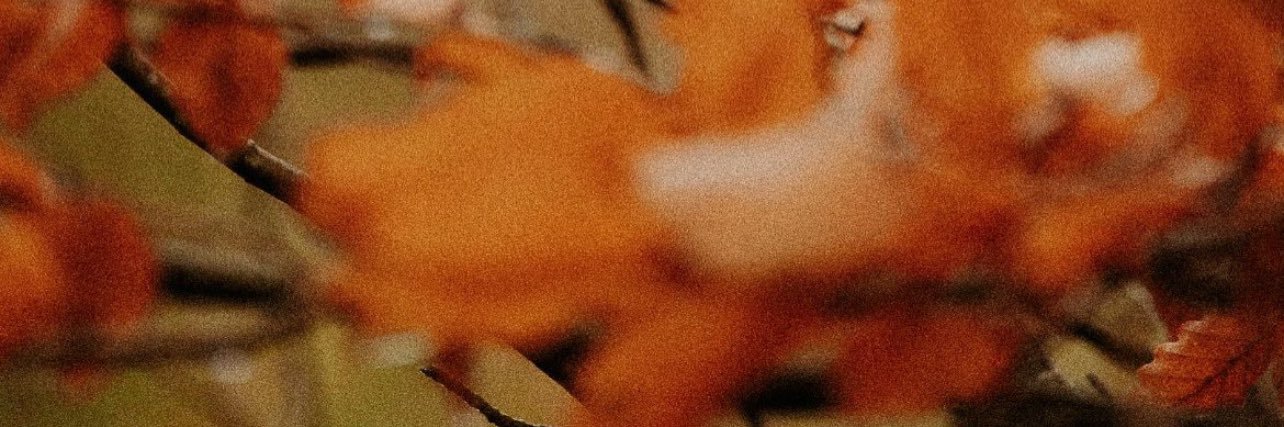 danielarch18's profile banner image