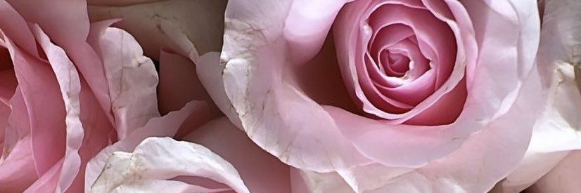 QueenxKoko's profile banner image