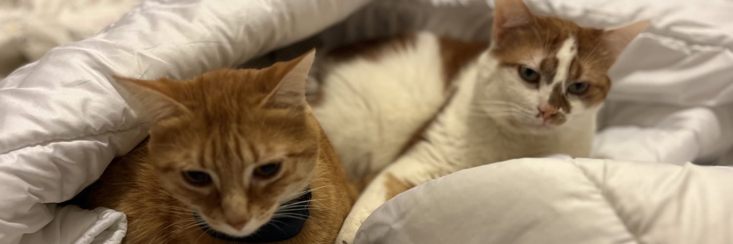 nonomgh78's profile banner image