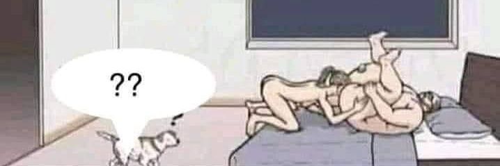 child of the moon banner