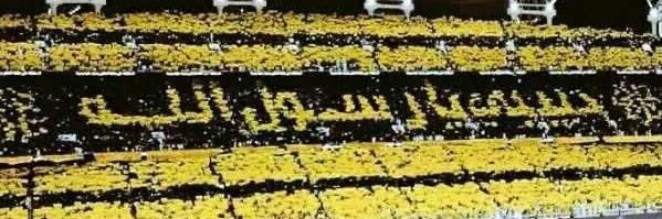 rayany85558's profile banner image