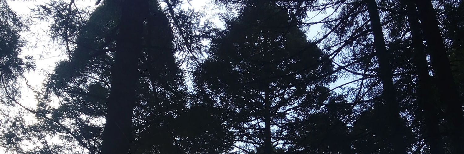 DimeHam's profile banner image