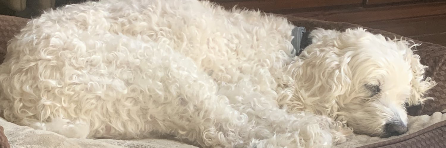 RossMello's profile banner image