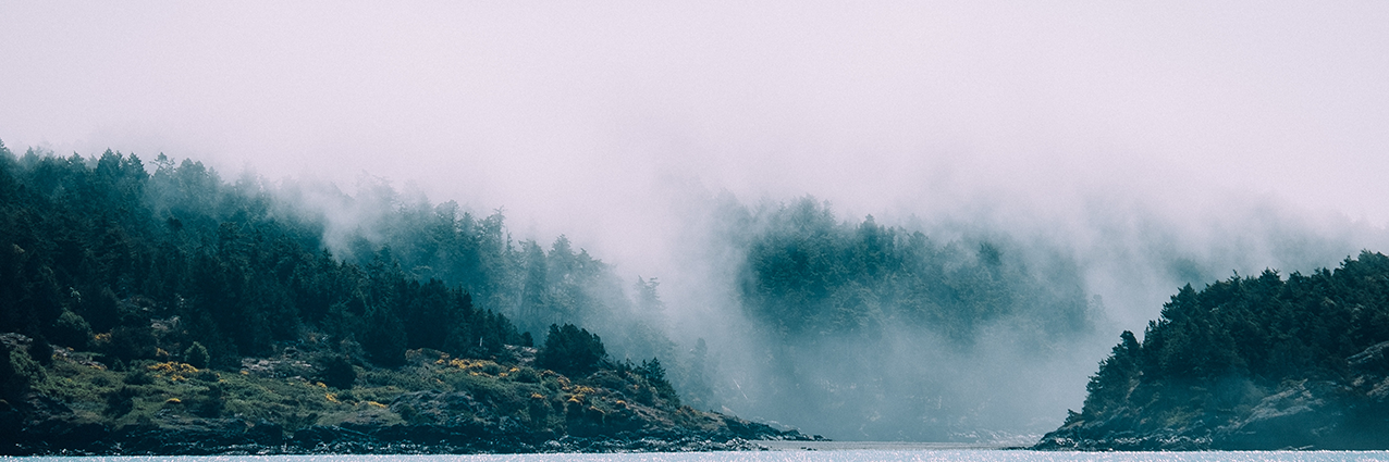 mmatv_'s profile banner image