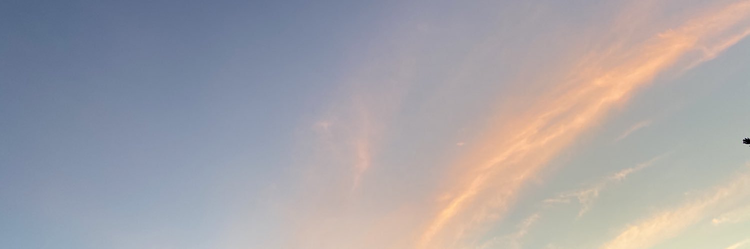aissulloyd's profile banner image