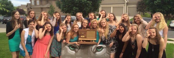 BVSWGSwim_Dive's profile banner image