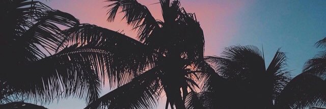 littlecball's profile banner image