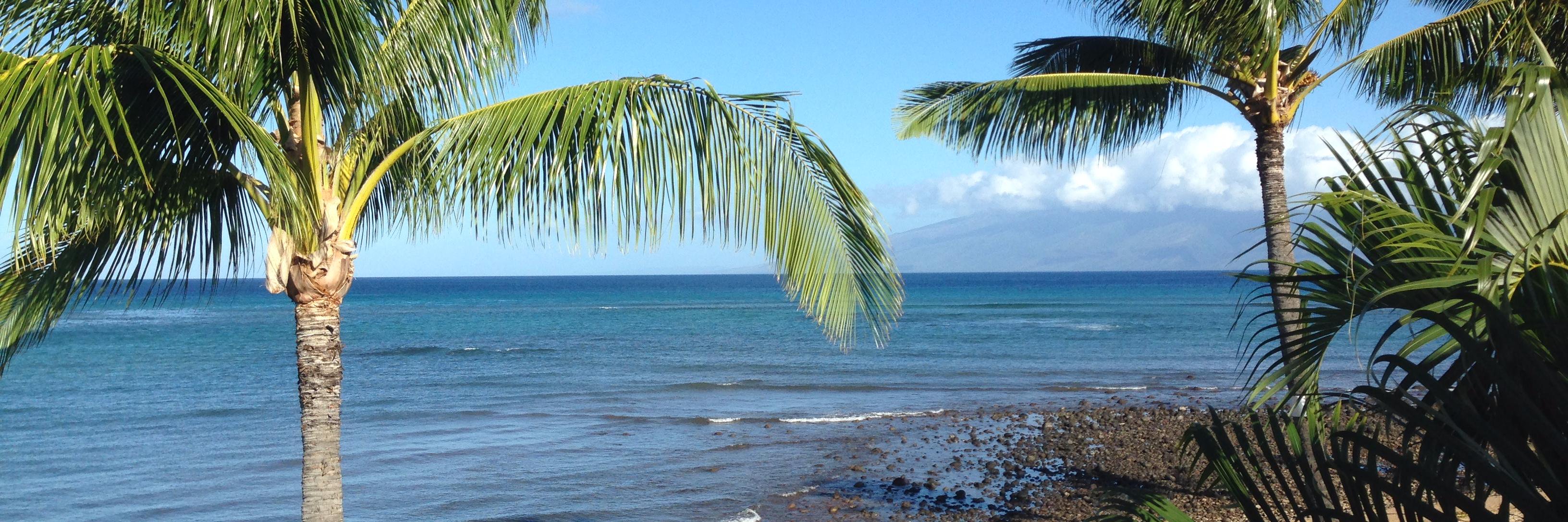 Steven Smith 🛡 banner