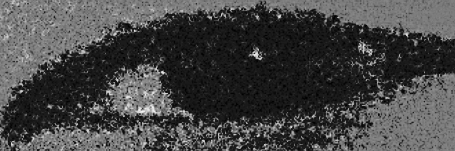 YoungDrek_'s profile banner image