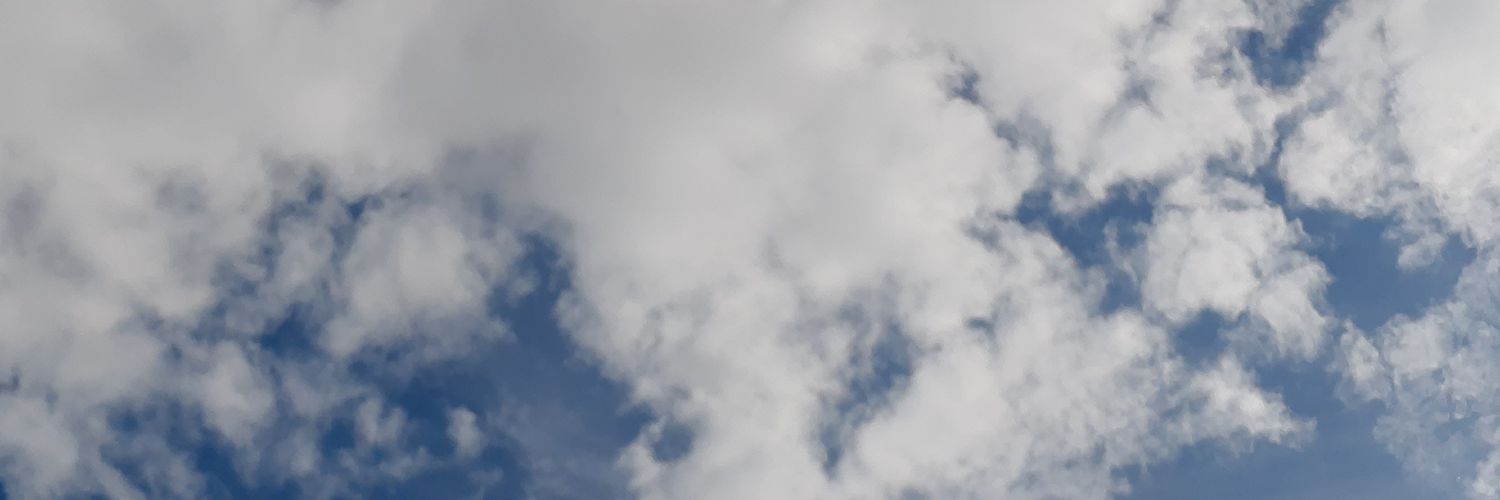 luisa_crv's profile banner image