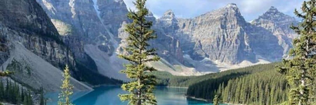 Mathieu Belchamber banner