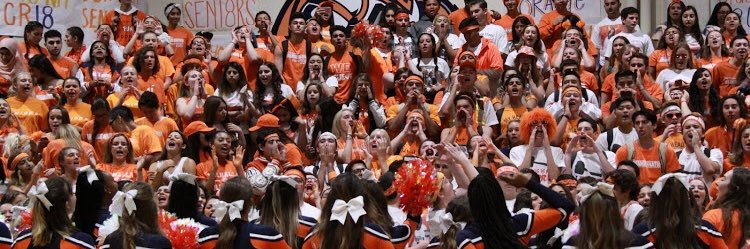 vhsSportsSound's profile banner image