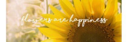 BobbieWehmeyer's profile banner image