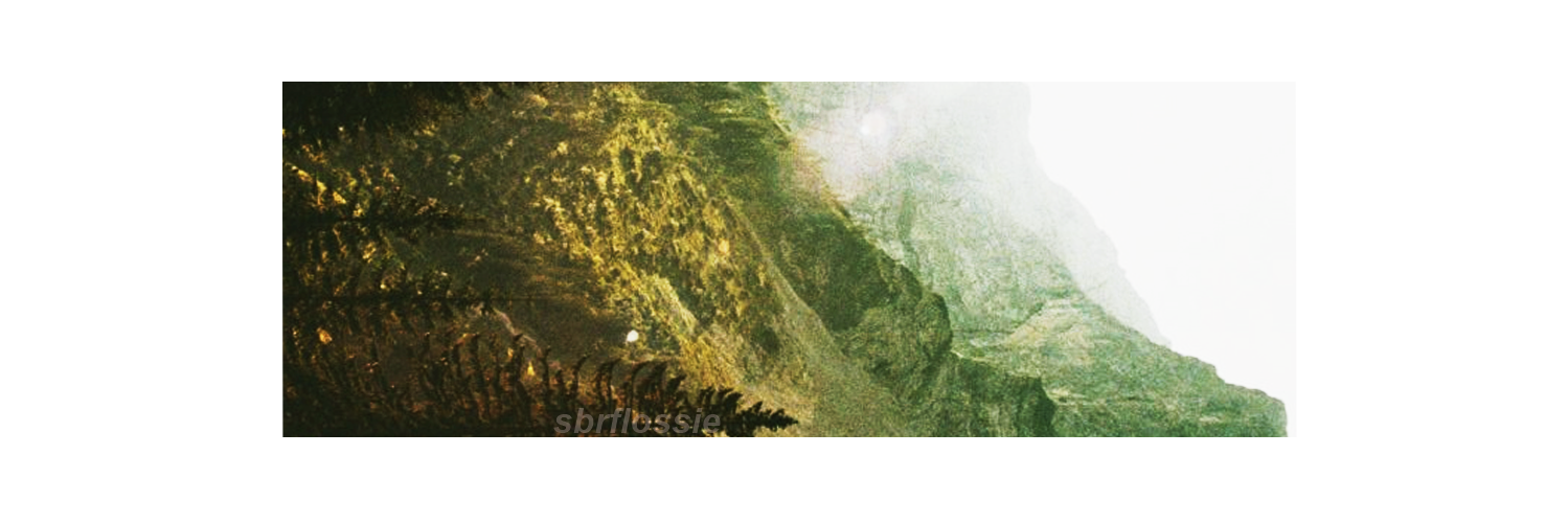 sbrflossie's profile banner image