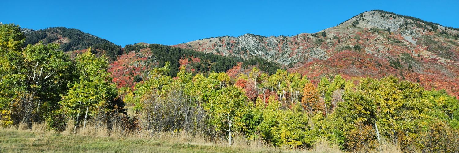 epwestra's profile banner image