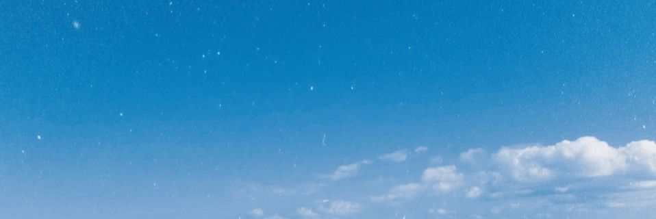 Dani Blanc banner