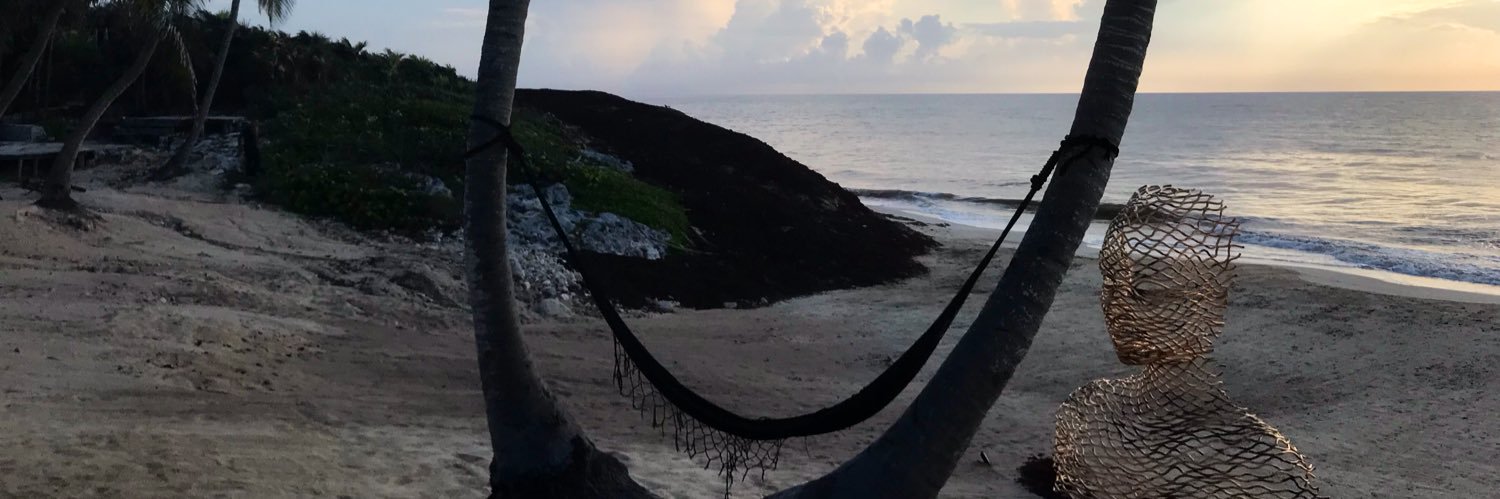 Deborah Brown banner