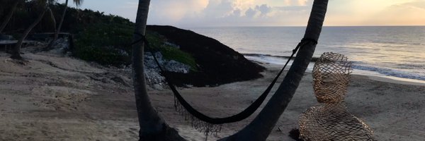 deblebrown Profile Banner