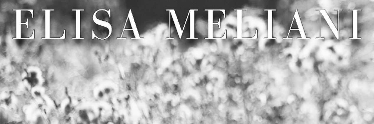 elisameliani's profile banner image