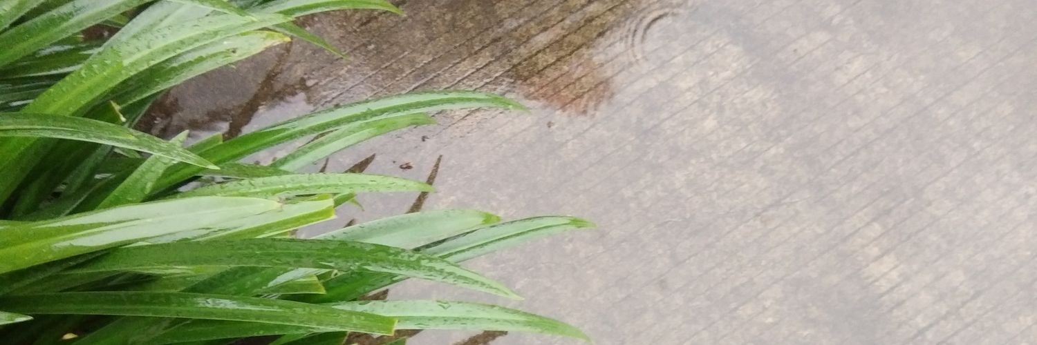 elly_210690's profile banner image